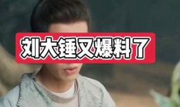 刘大锤八点爆料视频在线观看,揭秘幕后真相，精彩内容抢先看